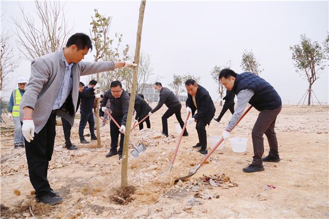 2023年3月13日，中馬合資公司組織開展2023年義務植樹活動